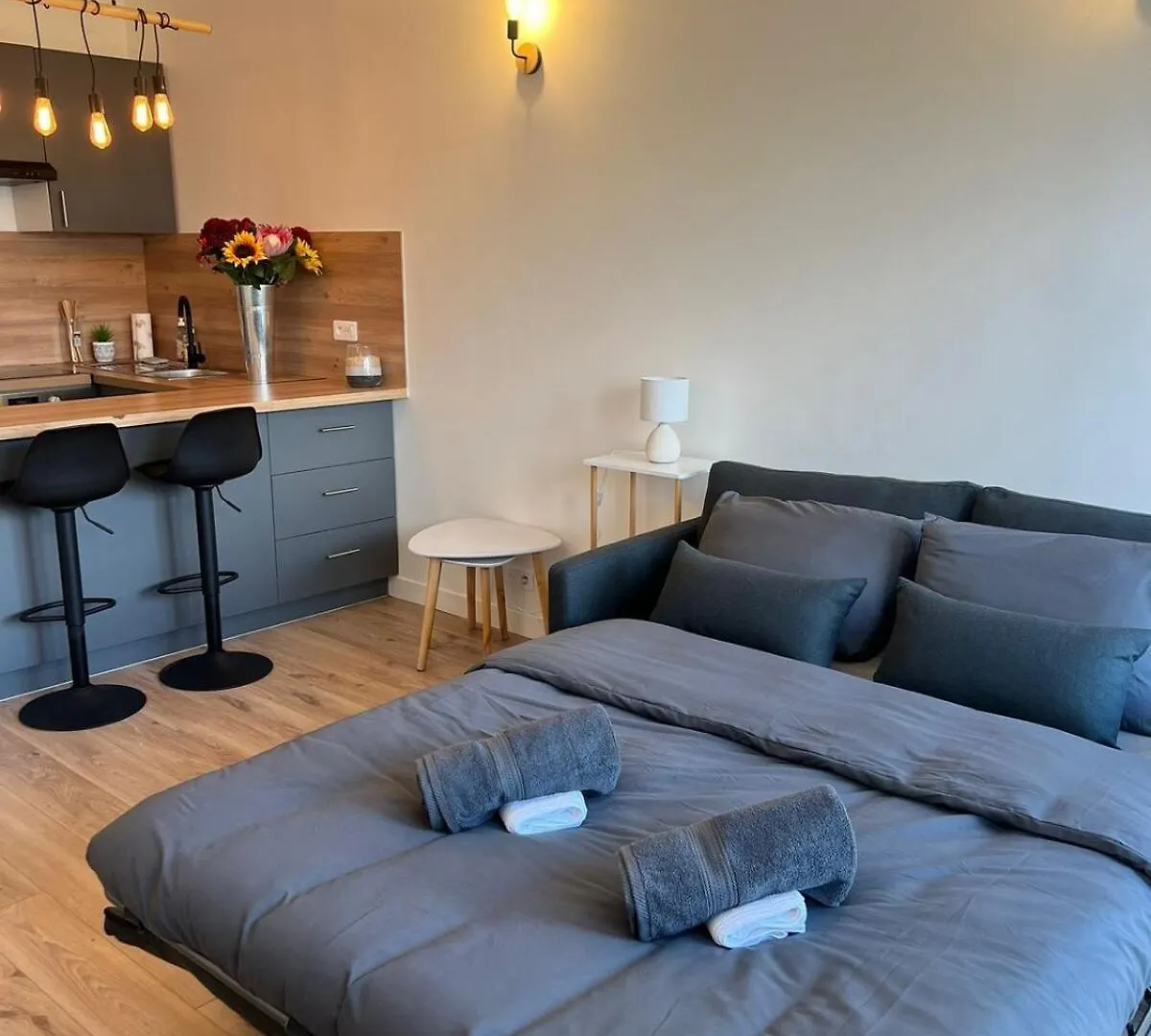 Luxury Suite Victor Hugo - Champs-Elysee パリ